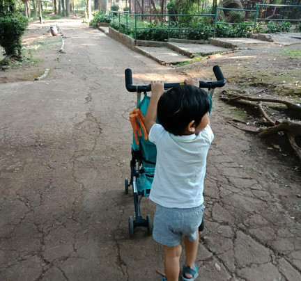 Bandung Zoo-万隆必去景点