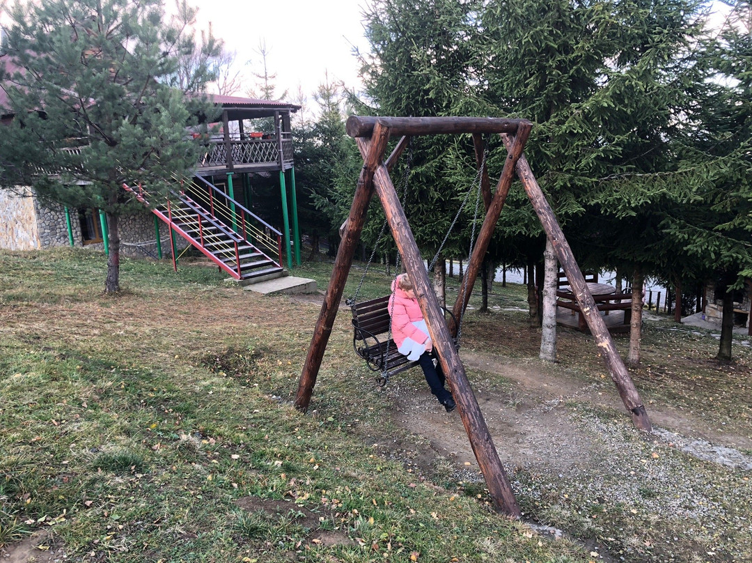 Carpathian Meadows (Karpats'ki Polonyny) Hotel主图