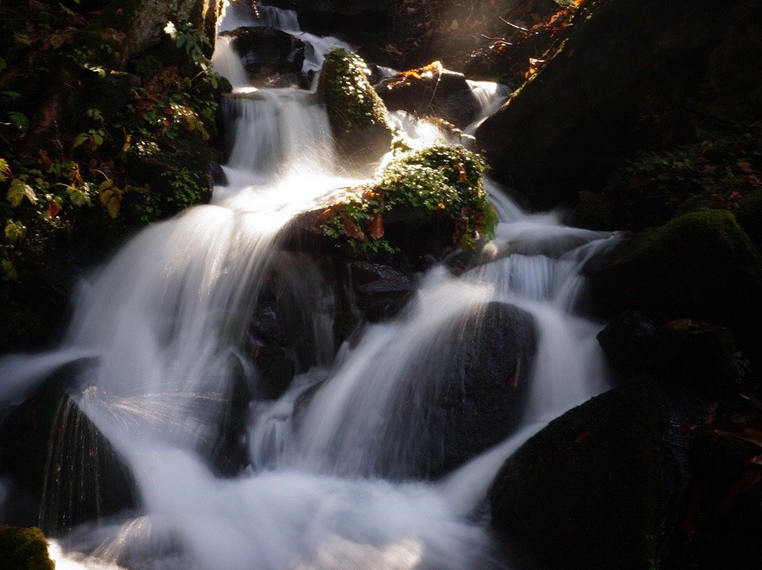 Midama Futoson-津南町必去景点