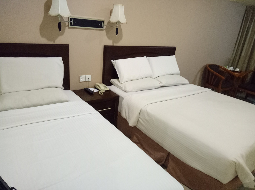 阿鲁大酒店主图