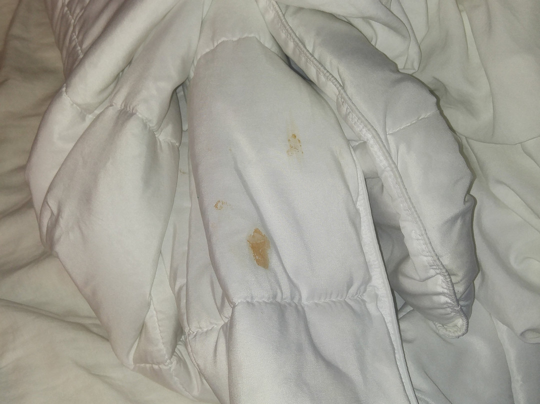 SureStay By Best Western Tuscaloosa Southeast主图