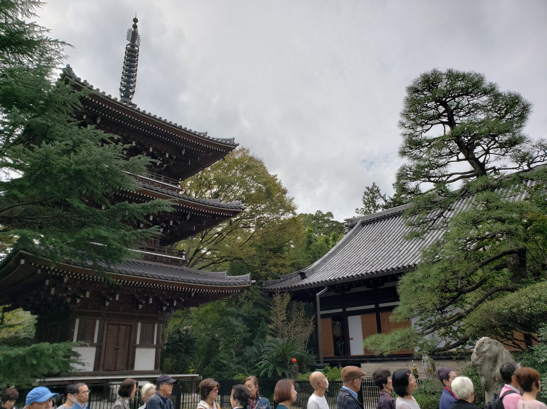 Tozenji Temple-Takanawa必去景点
