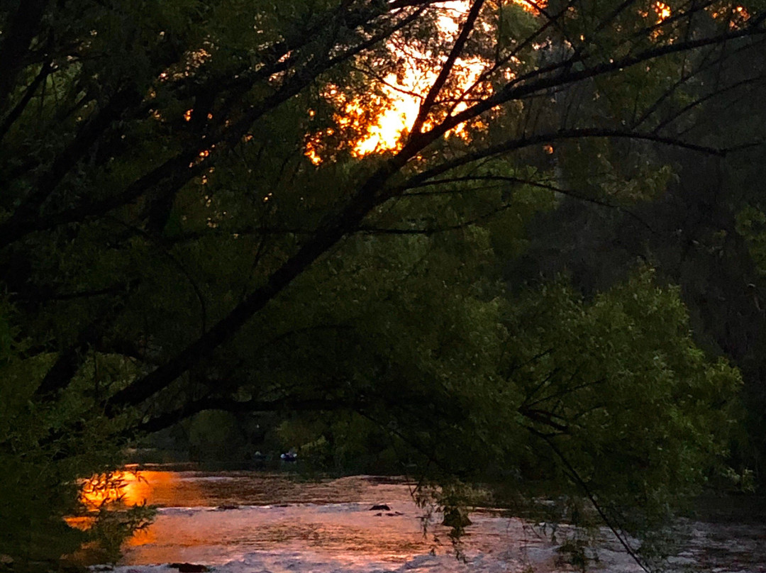 Porepunkah旅游攻略图片