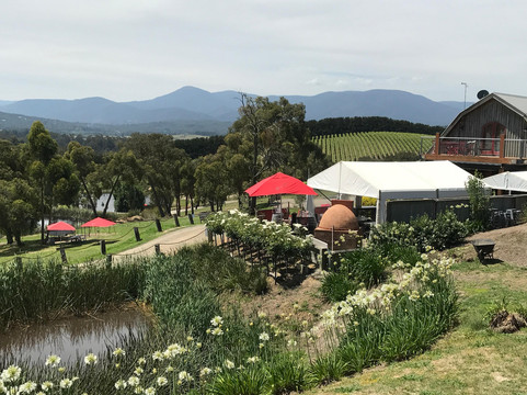 Australian Private Tours-墨尔本必去景点