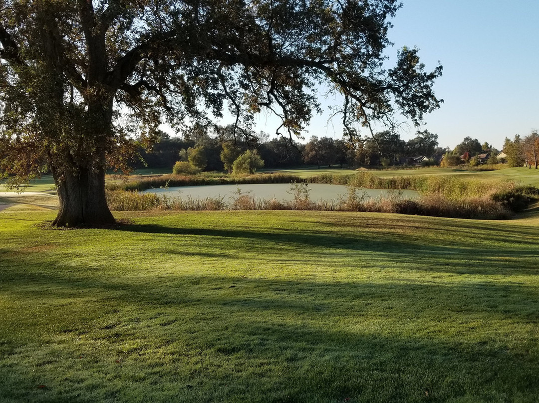 Castle Oaks Golf Course景点图片