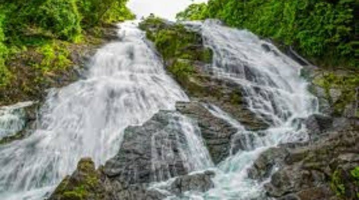 Charpa Waterfall景点图片