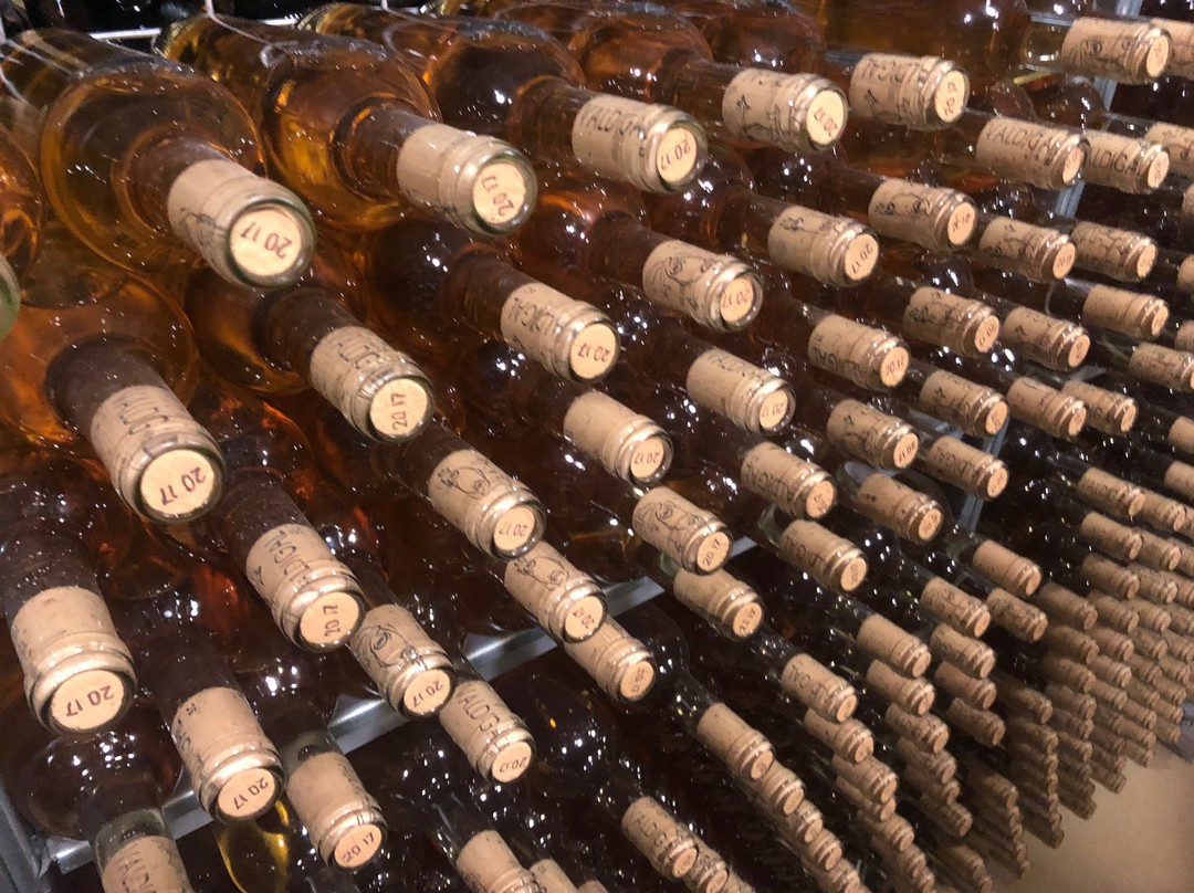 Bodega Valdigal-Toro必去景点