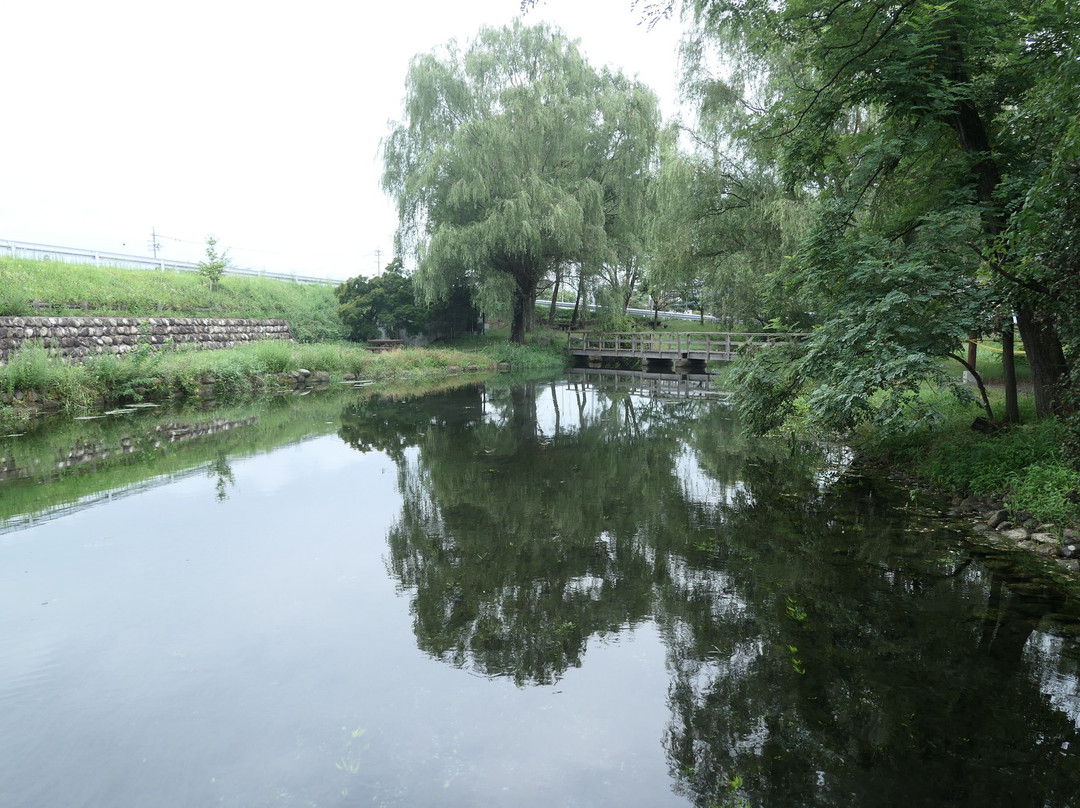 Azumino Wasabida Springs Park景点图片