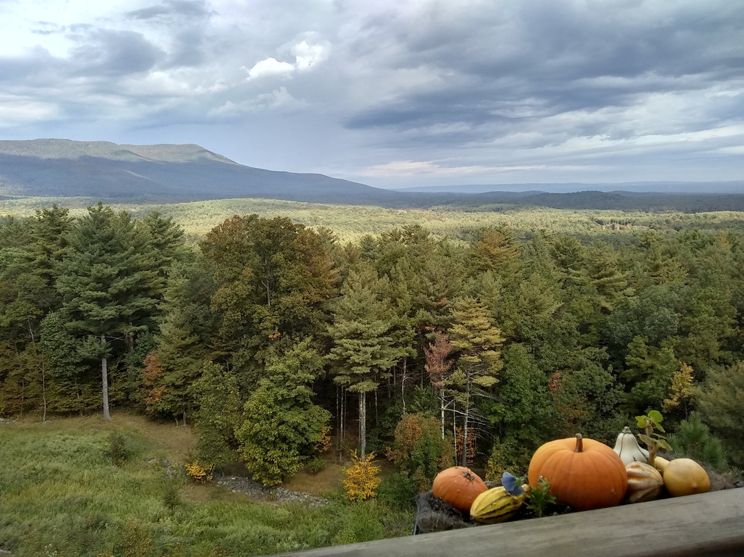 The George Ellen Bed and Breakfast主图