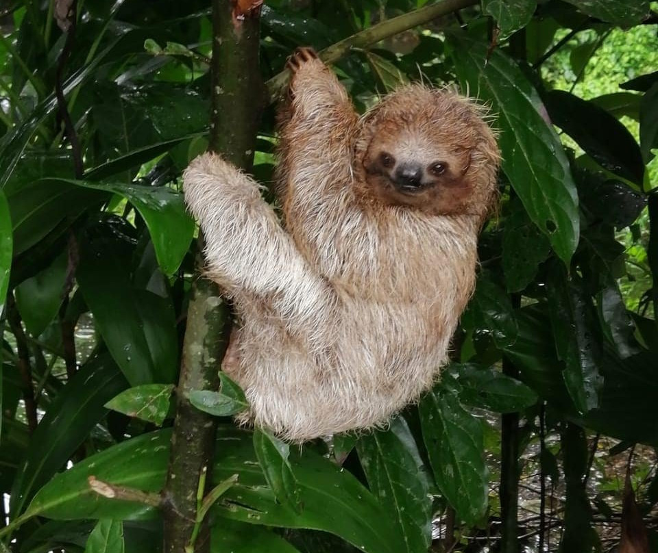 Showtime Tamarindo-塔马林多必去景点