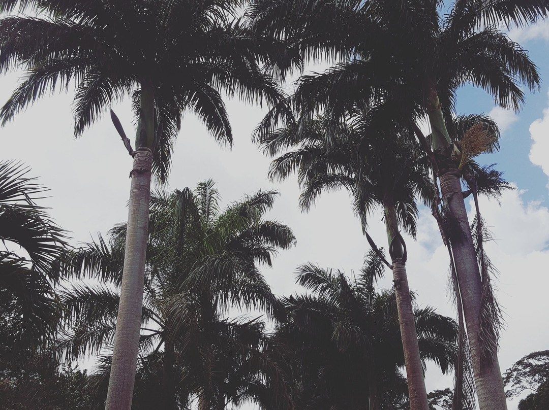 Best Deal Taxi Grenada-St. George's必去景点