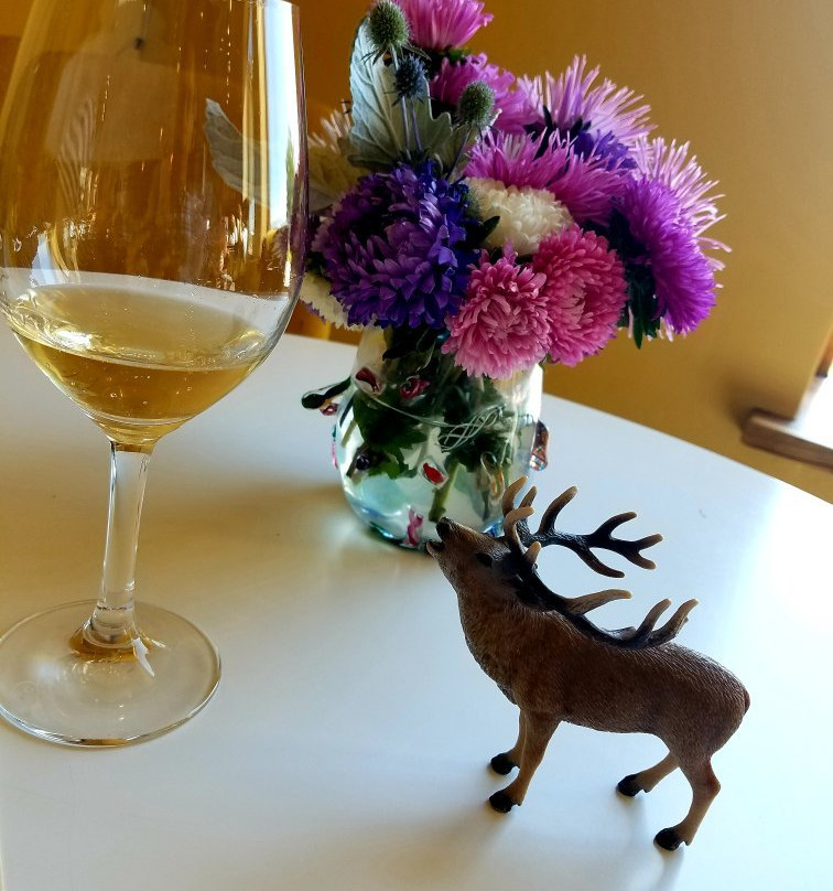 The Vine and Branch Ranch-Caldwell必去景点