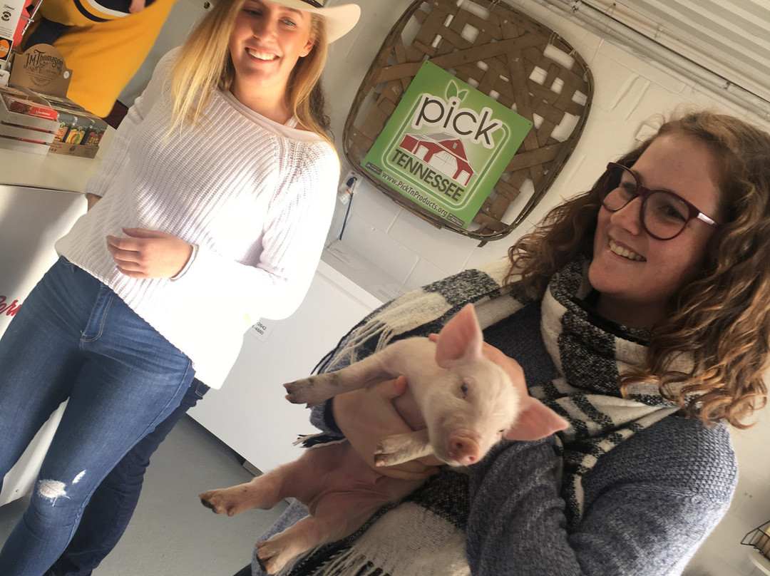 Rabbit Circle-纳什维尔必去景点