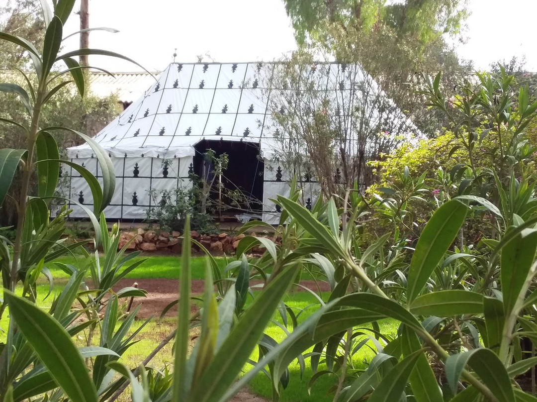 Le Jardin De La Koudya主图