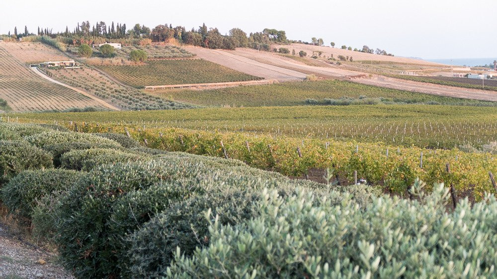 弗瑞斯特里亚普莱奈特庄园酒店主图