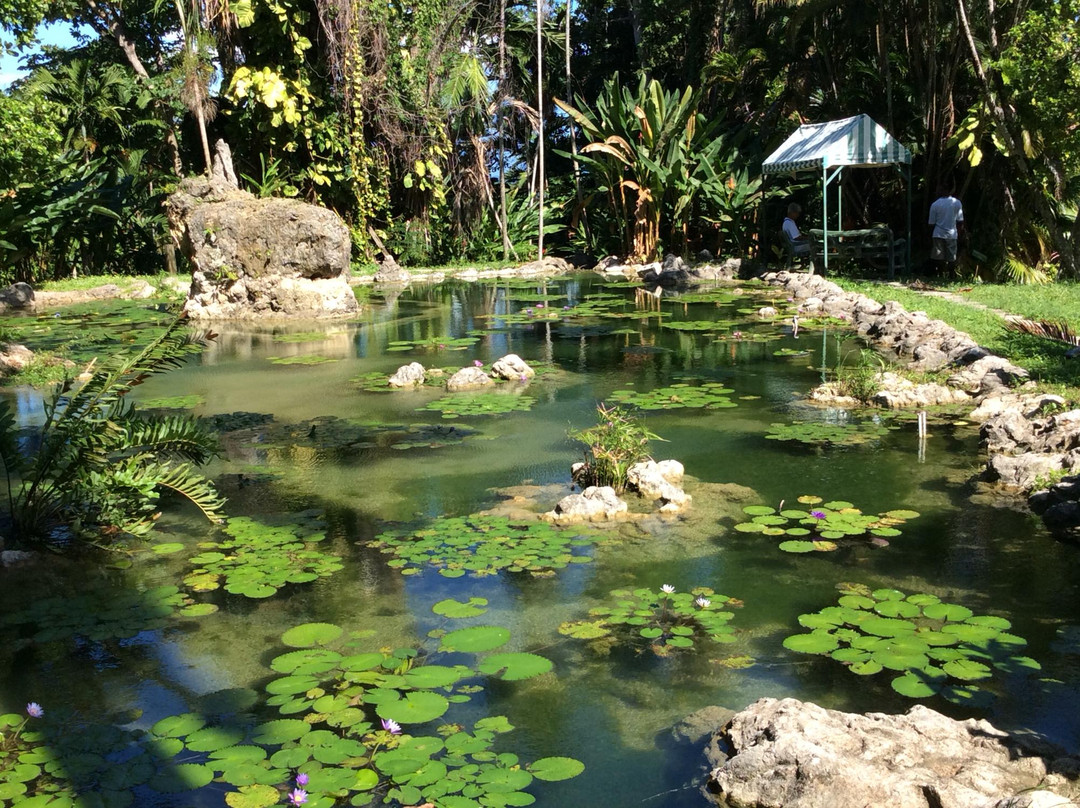 The Enchanted Gardens, Bird Aviary, and Waterfall-奥乔里奥斯必去景点