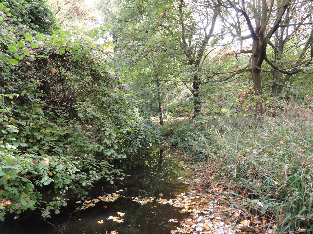 Arboretum Heempark-代尔夫特必去景点