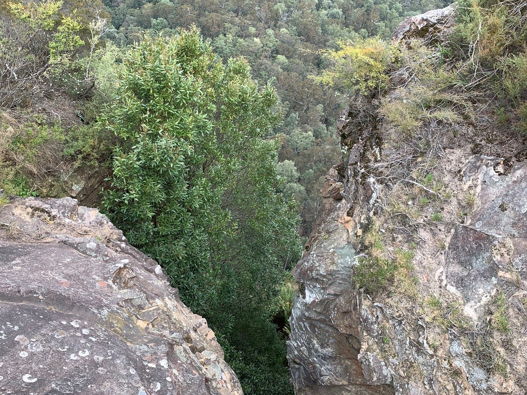 Elysian Rock Lookout景点图片