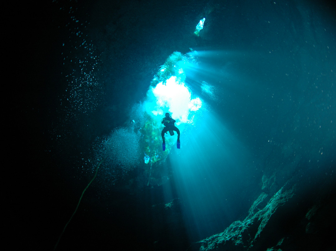 Deep Life Divers景点图片