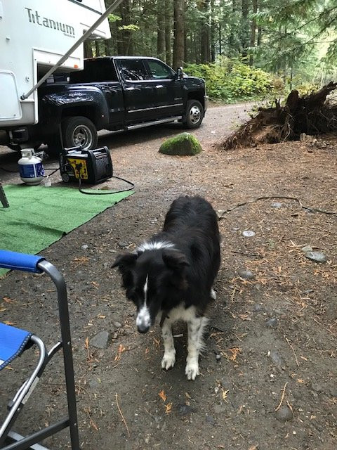 Sasquatch Provincial Park-哈里逊温泉必去景点