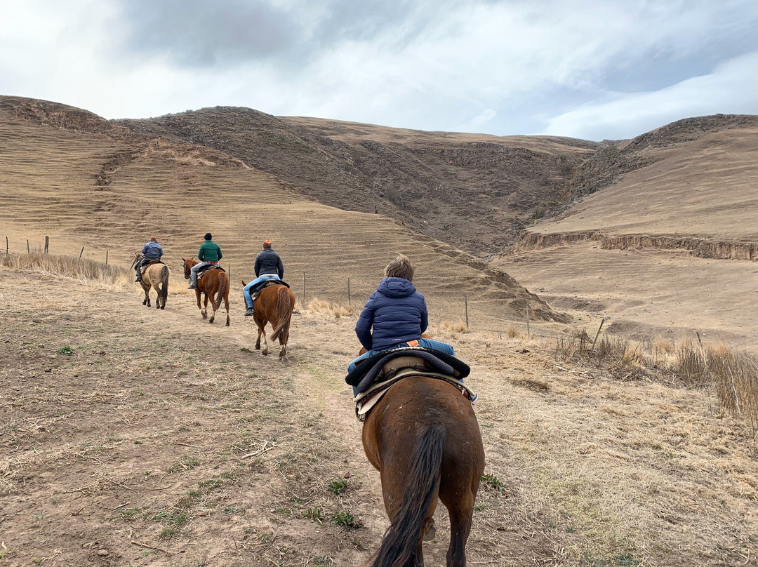 Estancia Las Carreras景点图片