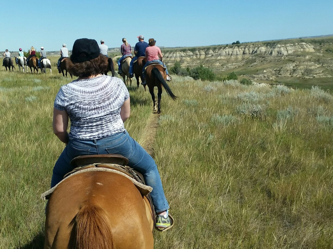 Medora Riding Stables-Medora必去景点