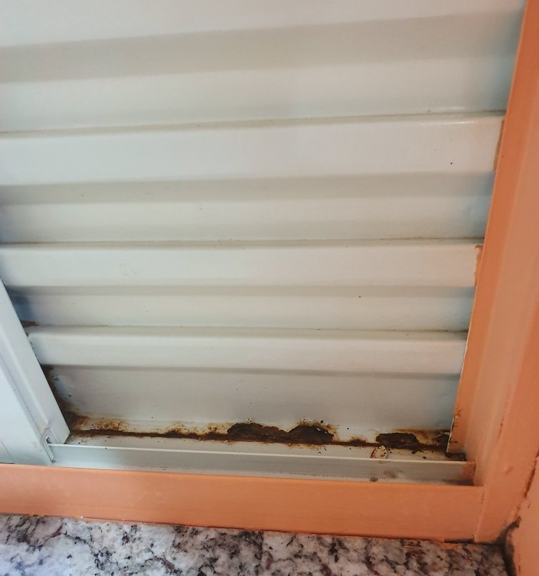 Hotel Internacional主图