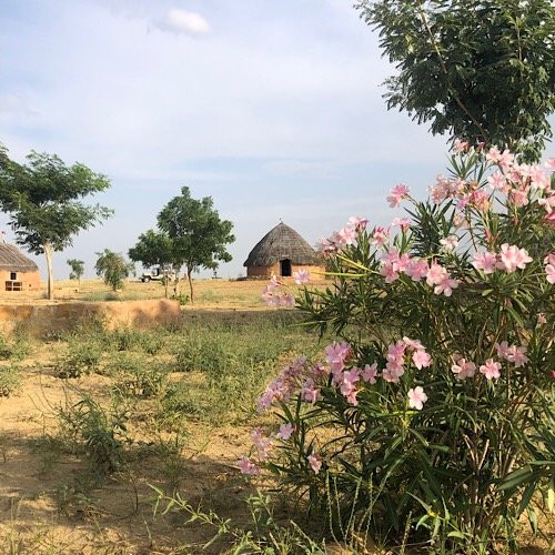 GreenArts Farm & Cottage主图