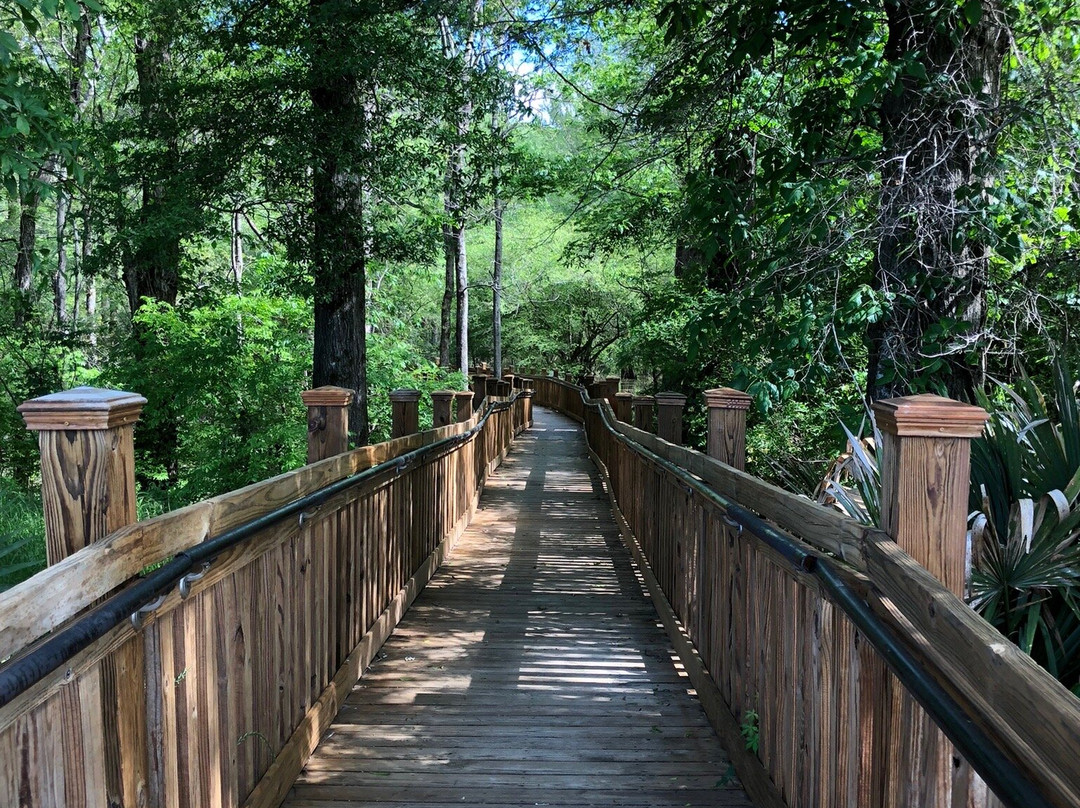 Sky Lake Boardwalk