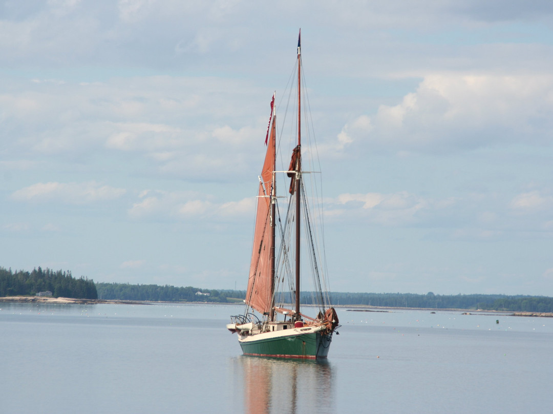 Windjammer Angelique景点图片