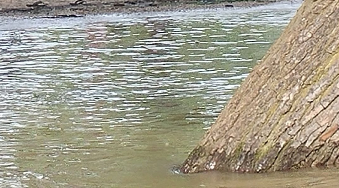 Webber旅游攻略图片