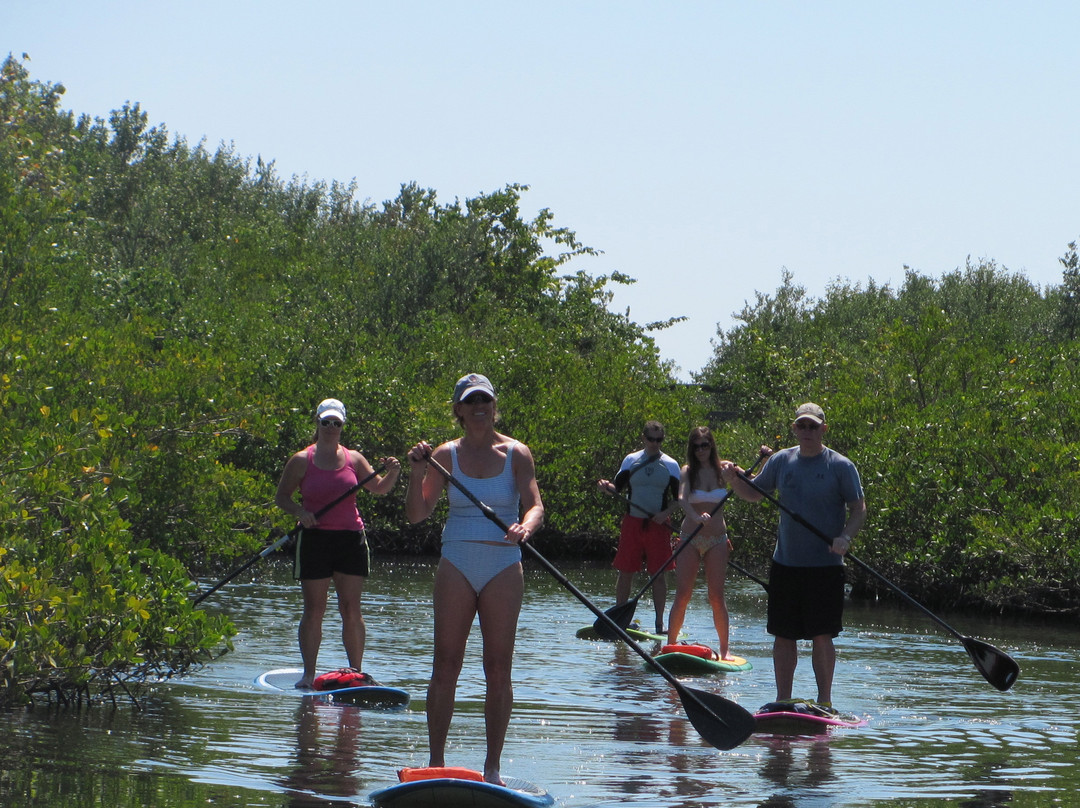 Paddleboard Connection-莱克沃思必去景点