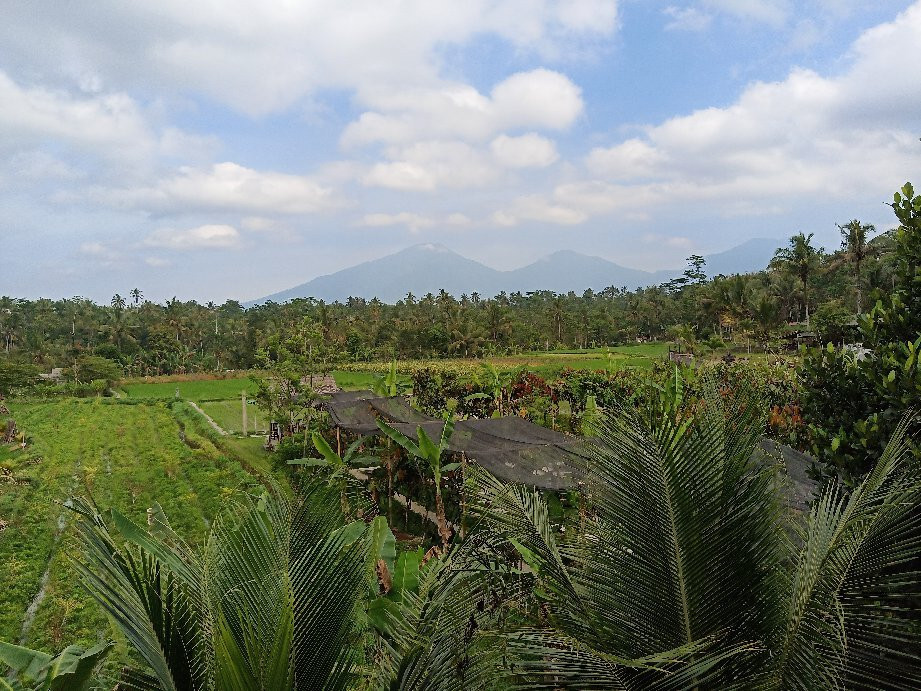 Cau Factory & Farm-达巴南必去景点
