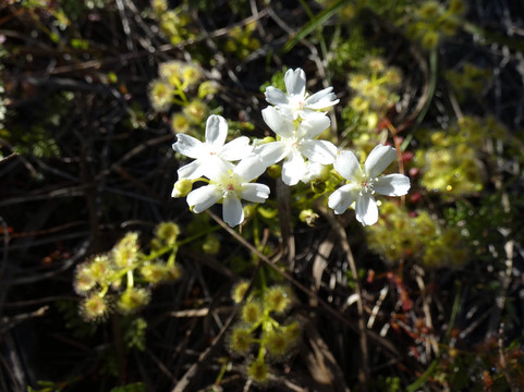 Hidden Hollow-Narembeen必去景点