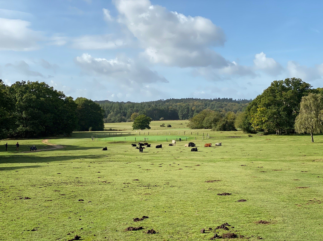 Bramshaw Golf Club景点图片