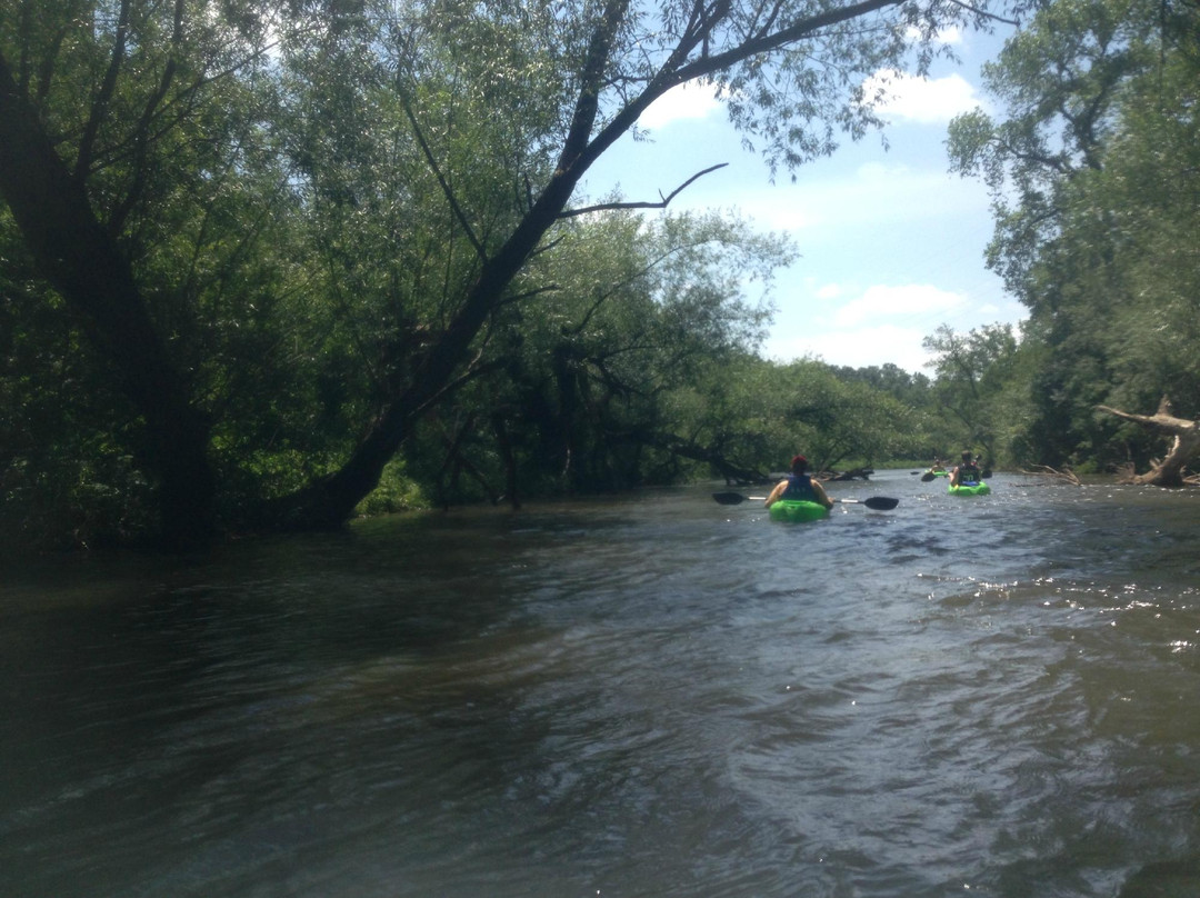 River Guide Kayaks景点图片