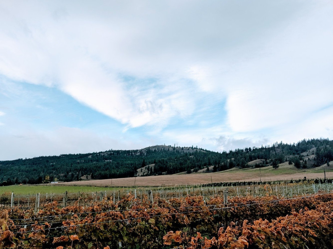 Privato Vineyard and Winery & Woodward Cider Co-坎卢普斯必去景点