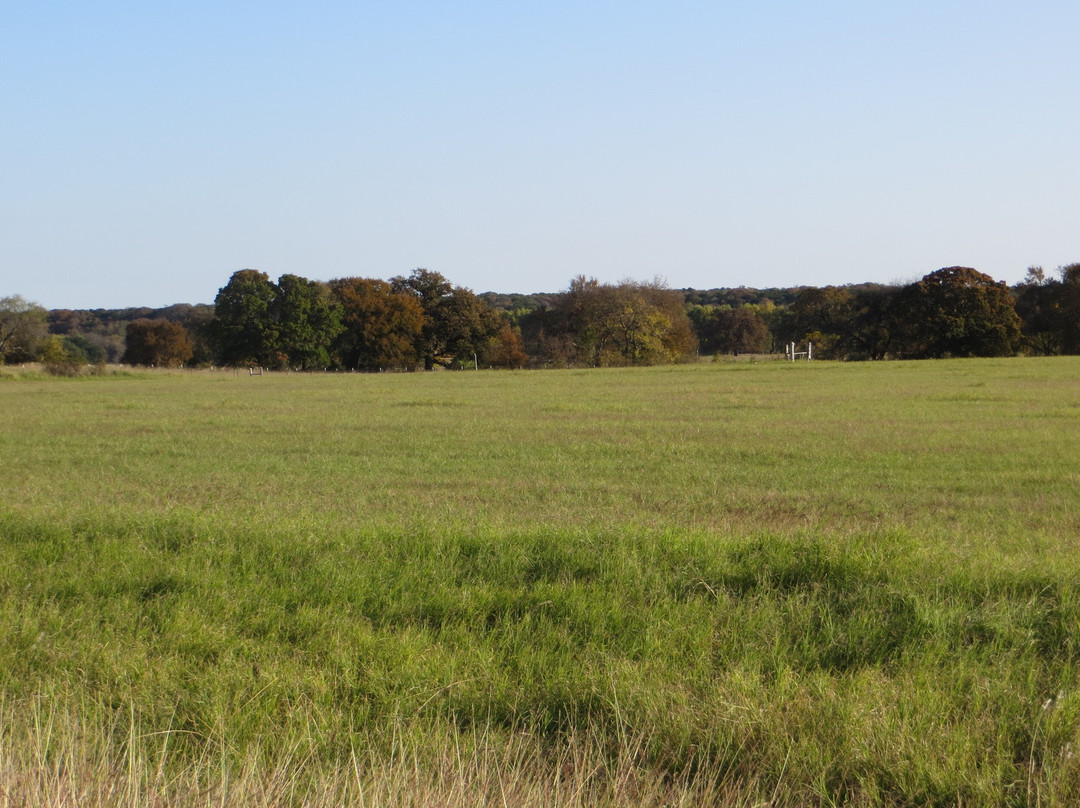 Iron Bridge Wildlife Management Area