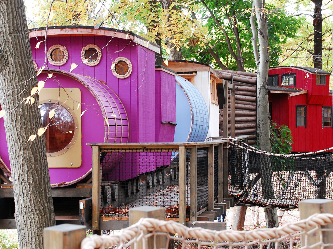 Treehouse World景点图片