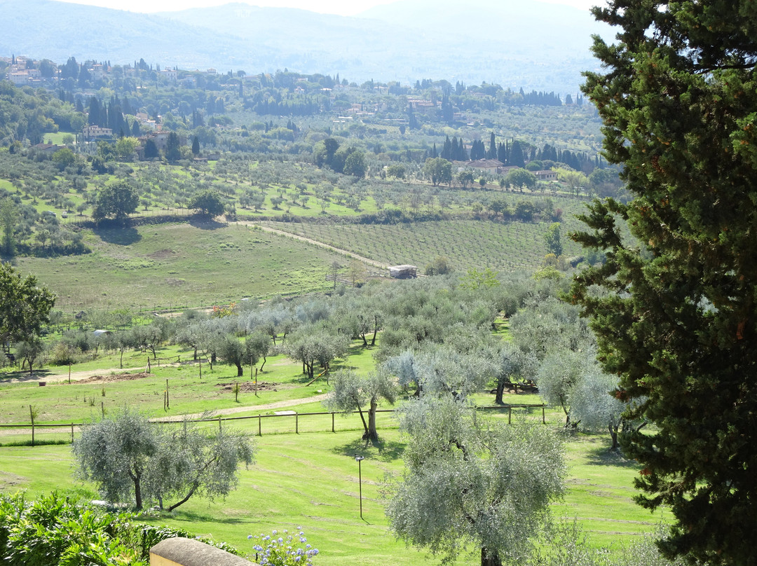 Fattoria Di Maiano主图