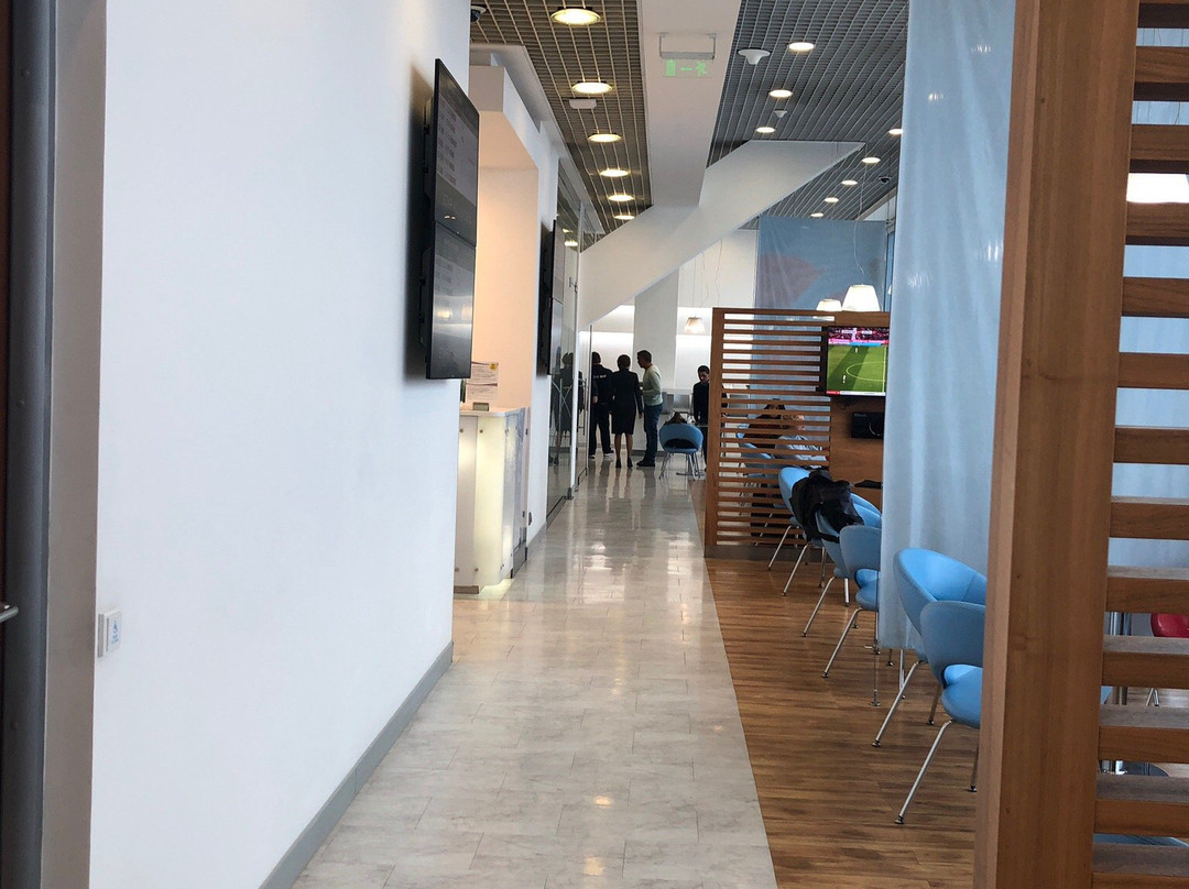 Domodedovo Aero主图