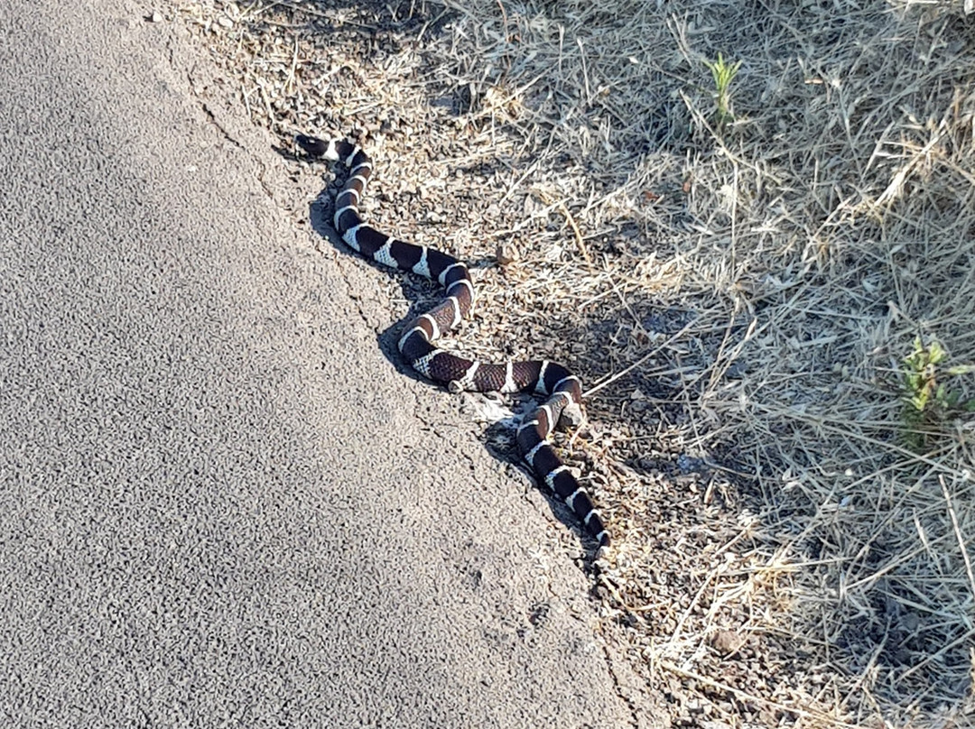 The Stanford Dish-帕罗奥多必去景点