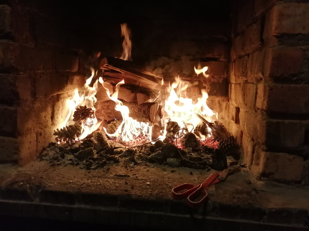 Protea Farm Tractor Trips-蒙提古必去景点