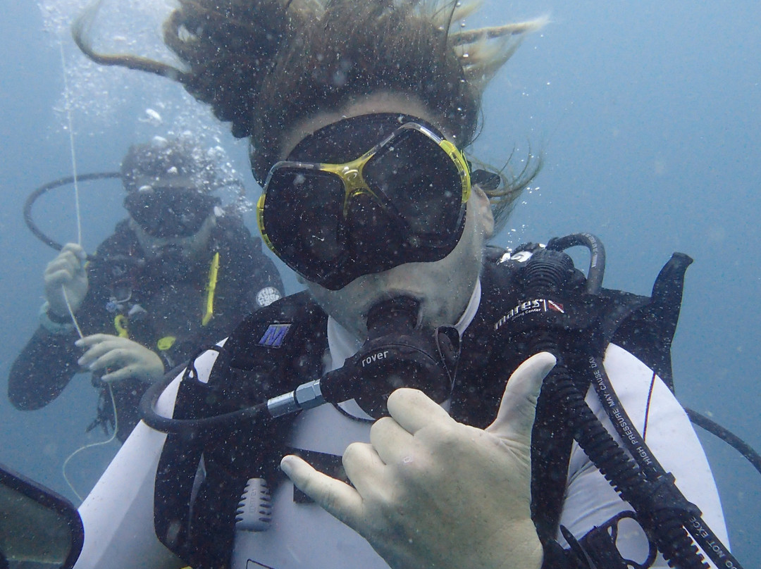 Jay's Pro Dive Centre-Jangamo必去景点