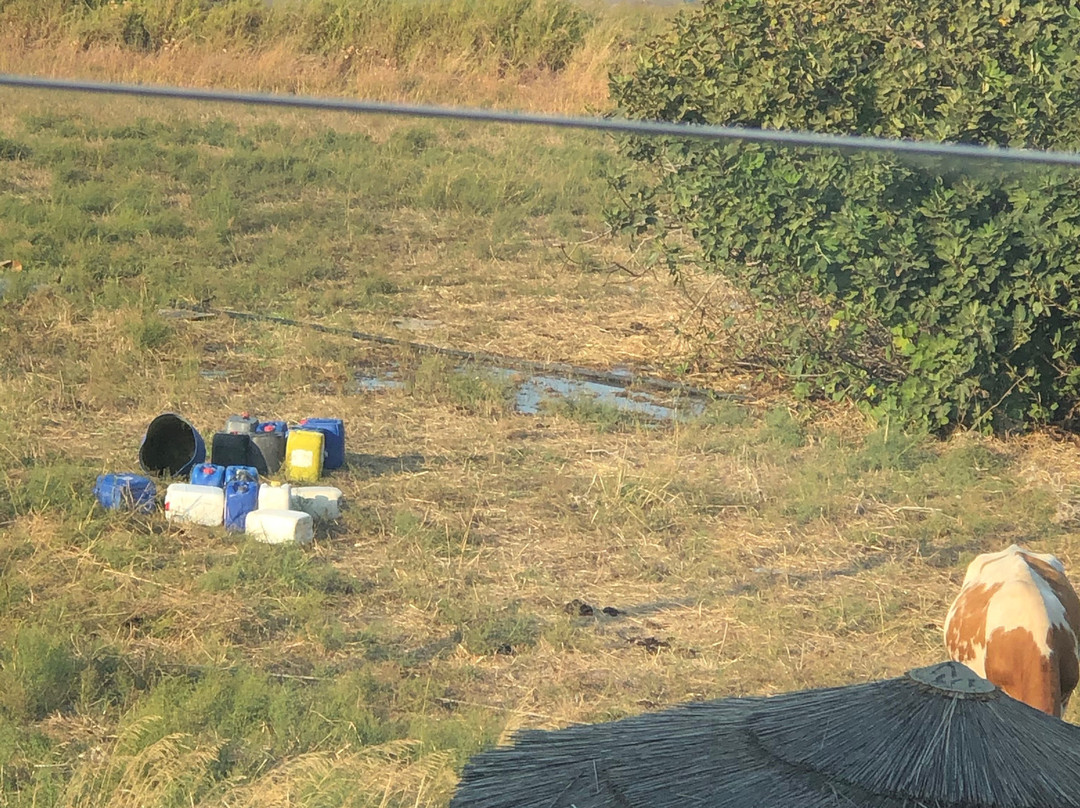 TUI BLUE Palazzo del Mare主图