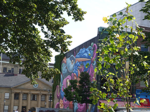 Freak LunchBox-哈利法克斯必去景点