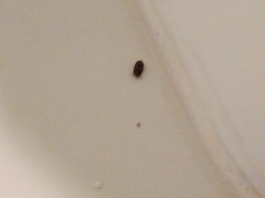 Days Inn by Wyndham North Platte主图