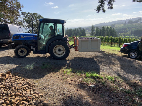 Oregon Select Wine Tours-纽伯格必去景点