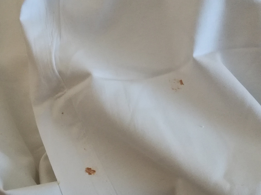 Hotel les Pielettes主图