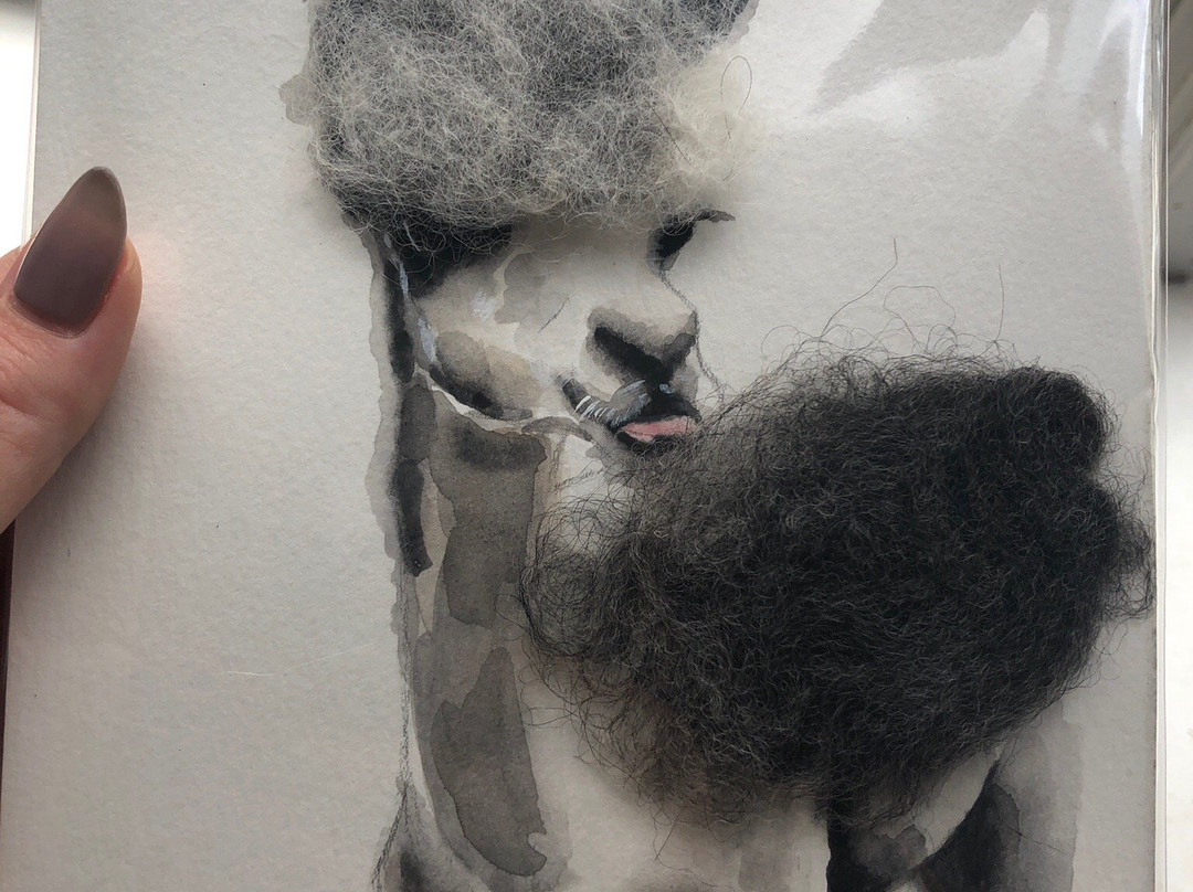 Living The Dream Alpaca Farm-Quechee必去景点